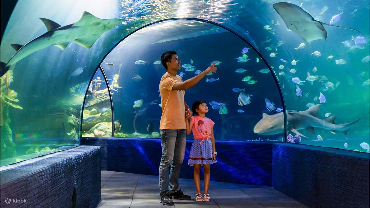 Vé Vào Cửa Cả Ngày | Angkor Wildlife & Aquarium